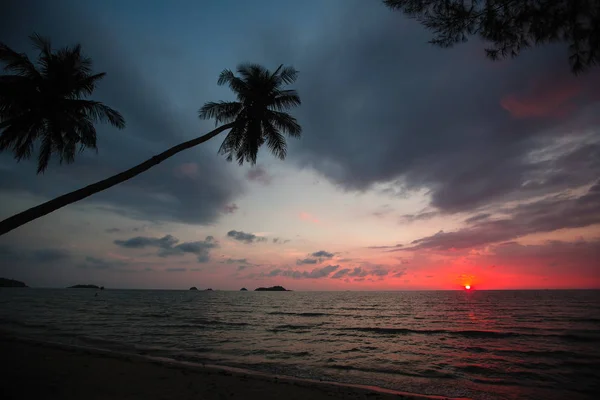 素晴らしい夕暮れの間に熱帯の海のビーチでヤシの木 — ストック写真