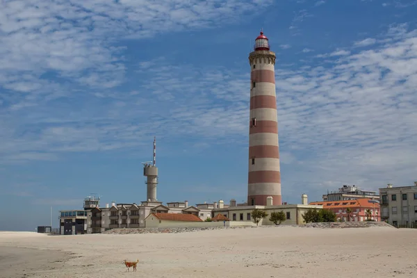 Aveiro Deniz Feneri (Praia da Barra olarak da bilinir) Portekiz.