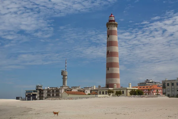 Aveiro Lighthouse Also Known Praia Barra Portugal — Stock Photo, Image