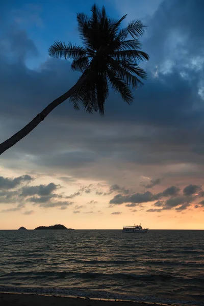 Palm Tree Tropical Sea Beach Amazing Sunset — ストック写真