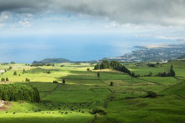 San Miguel Adası, Azores, Portekiz Atlantik kıyısı ve manzarası. 