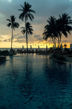 Tropical palm trees silhouetted against a dusk blue sky on the beach.