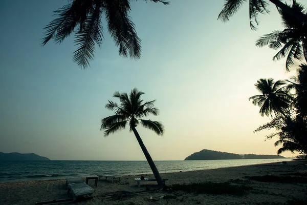 Силуети Пальми Тропічному Пляжі Красивих Сутінках — стокове фото