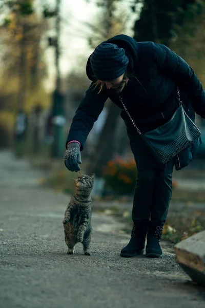 女は灰色のストリート猫と遊ぶ — ストック写真