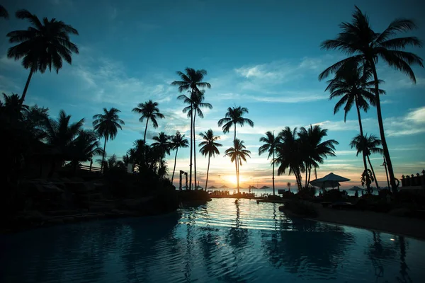 Silhouetten Van Palmbomen Het Tropische Strand Bij Zonsondergang — Stockfoto