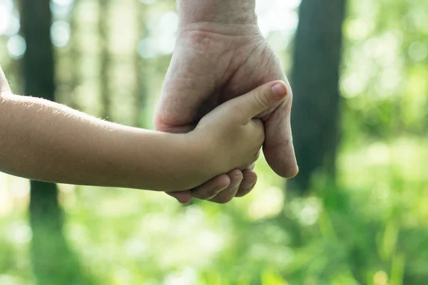 Großaufnahme Hält Ein Erwachsener Die Hand Eines Kindes — Stockfoto