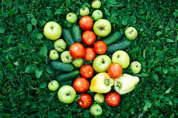Ντομάτες Αγγούρια Πιπεριές Και Μήλα Βρίσκονται Στο Πράσινο Γρασίδι — Φωτογραφία Αρχείου
