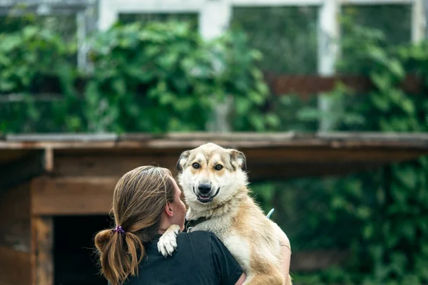 Cão Olhando Para Câmera Com Menina Adolescente Livre — Fotografia de Stock