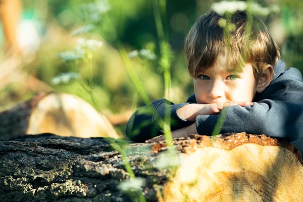 Close Portret Cute Little Boy Plenerze Wsi — Zdjęcie stockowe