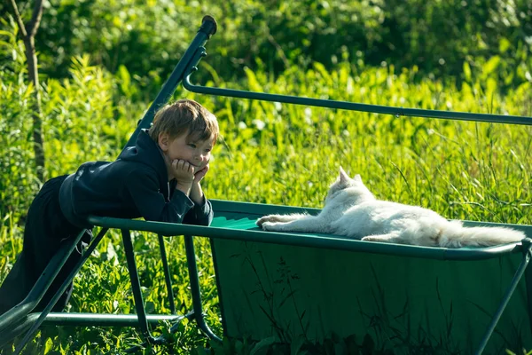 一个小男孩在外面和白猫玩耍 — 图库照片