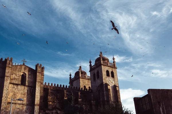 Utsikt Över Portos Katedral Porto Portugal — Stockfoto