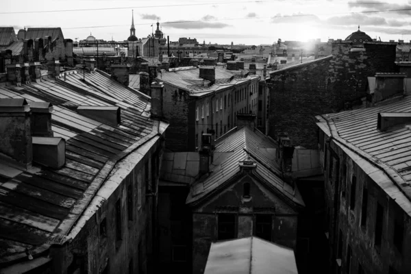 Vista Dall Alto Dei Tetti San Pietroburgo Fotografia Bianco Nero — Foto Stock