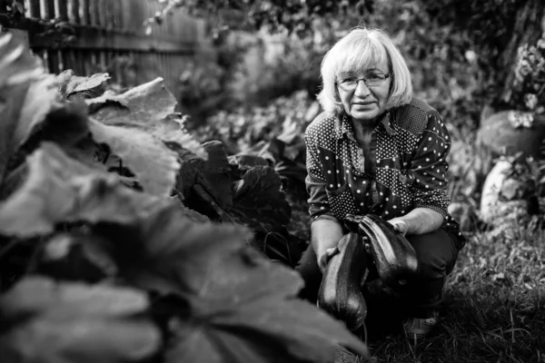 Donna Con Una Zucchina Nel Suo Giardino Fotografia Bianco Nero — Foto Stock