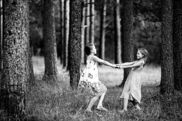 Two little girls for the holding hands in the pine forest. Black and white photo.