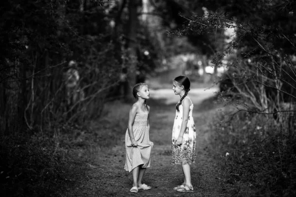 Dvě Malé Přítelkyně Borovicovém Parku Černobílá Fotografie — Stock fotografie