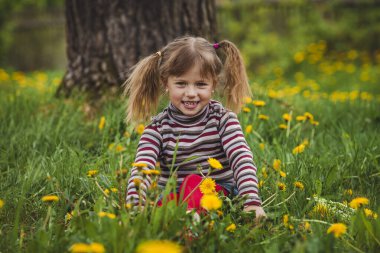 Tatlı komik küçük kız çayırda otururken eğleniyor..