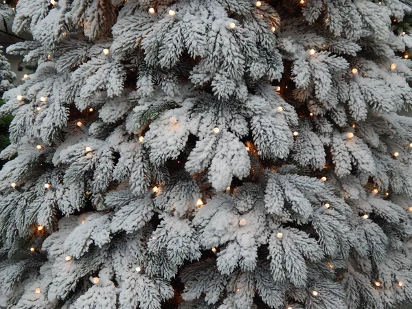 Kerstmis Achtergrond Het Schot Werd Gedaan Internationale Tentoonstelling Moskou September — Stockfoto