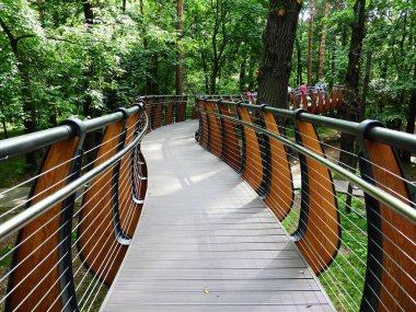 Moskova 'daki Park VDNH' de Ekolojik Yol. Eylül 2020.