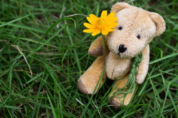 Urso Boneca Sentado na grama — Fotografia de Stock