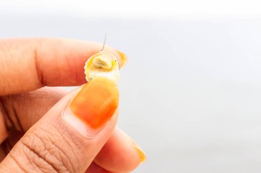 Fingger Hold Mollusk