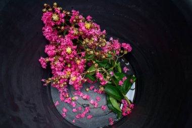 siyah kova krep mersin