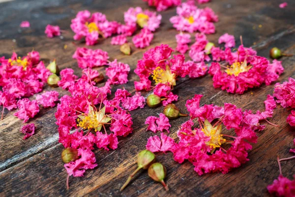 Ahşap Üzerinde Pembe Krep 8