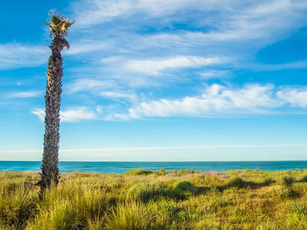 Stranden Gava Stränderna Barcelona Kusten Med Mycket Turism Och Naturområden — Stockfoto