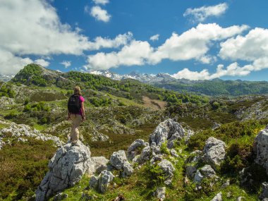 Doğa ve Asturias Picos de Europa dağlarda gözlemleyerek yürüyüşçü