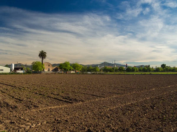 Yeni ekilen Barcelona alanı ile muhteşem bir gök