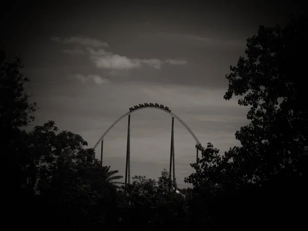 Bir eğlence parkı bir parçası görebilirsiniz güzel orman manzara