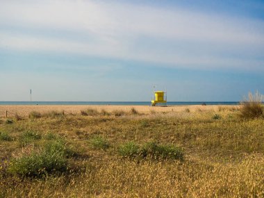 Castelldefels beach kumulları ve plaj yanı sıra doğal bitkiler görebileceğiniz gezinti