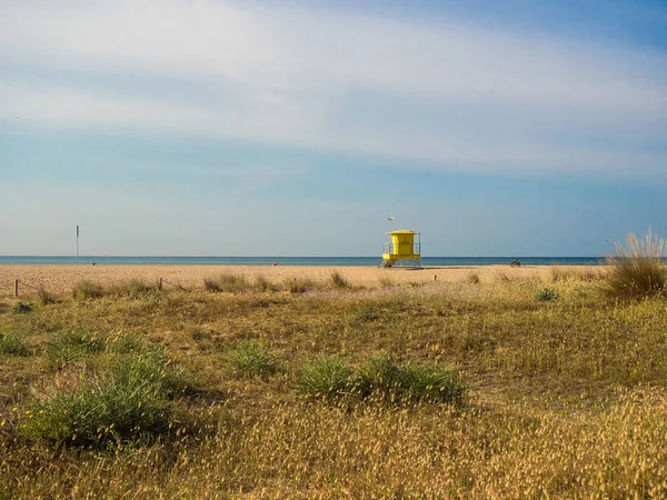 Castelldefels beach kumulları ve plaj yanı sıra doğal bitkiler görebileceğiniz gezinti