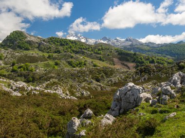 Manzara Picos de Europa Asturias yılında; Baharda dağlık alanda görmek