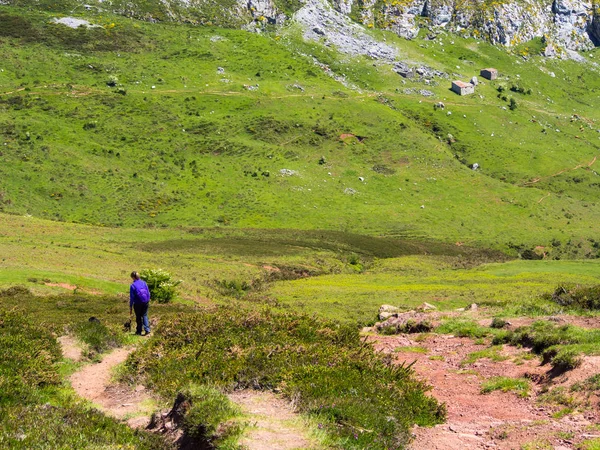 Spaziergänger Für Die Picos Europa Asturien Man Sieht Das Bergige — Stockfoto