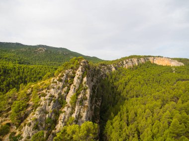 Sierra de Moratalla Ormanları