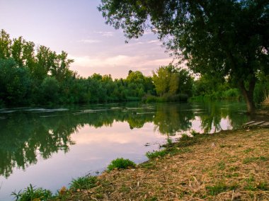 Tagus nehri tarafından Aranjuez