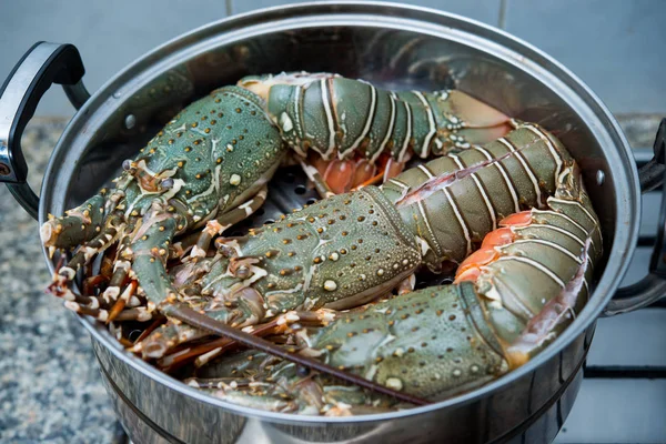 Raw Lobster Iron Steamer — Stock Photo, Image