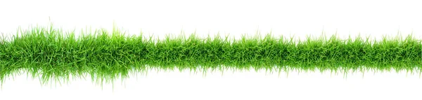 Вид Сверху Зеленую Траву Изолированную Белом — стоковое фото