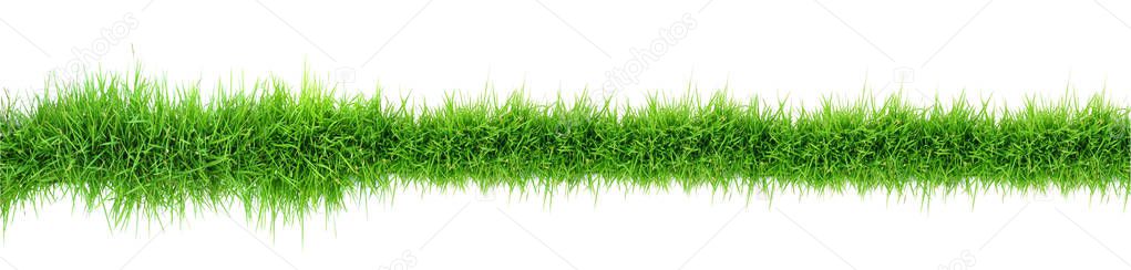 top view of green grass panorama isolated on white