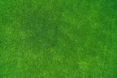 Yeşil çimen alanı arkaplanı