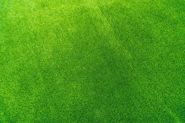 Yeşil Çimen Alanı Arkaplanı — Stok fotoğraf