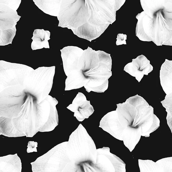 collection of white flowers on black background