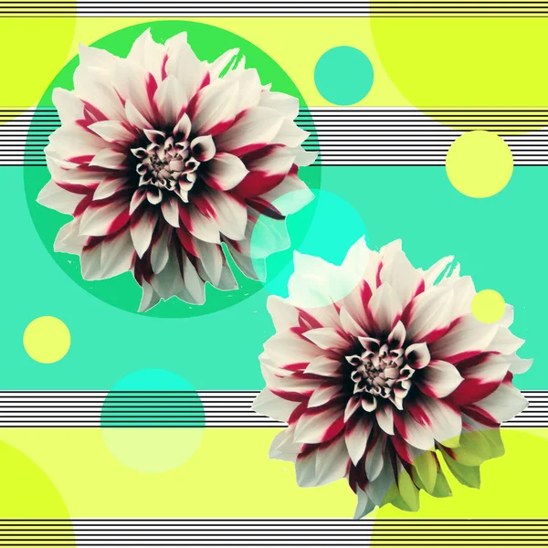 Modern Background Flowers Geometric Figures Seamless Bright Texture — Stock Photo, Image