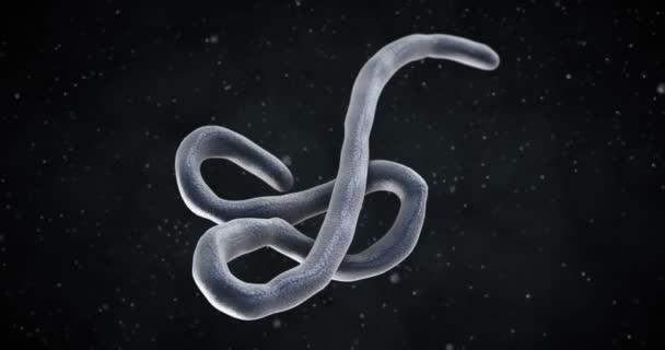 Animation Eines Ebola Virus — Stockvideo