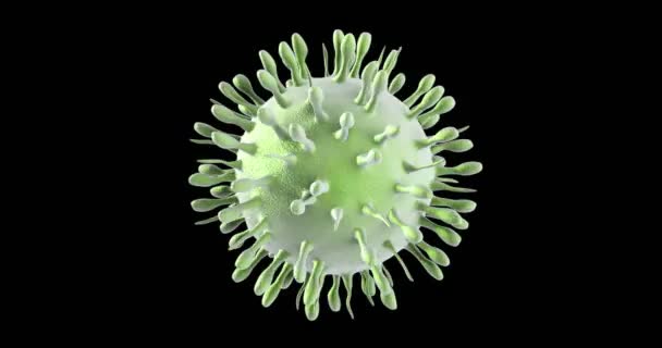在黑色背景上使用阿尔法的甲型H1N1 流感病毒动画 — 图库视频影像