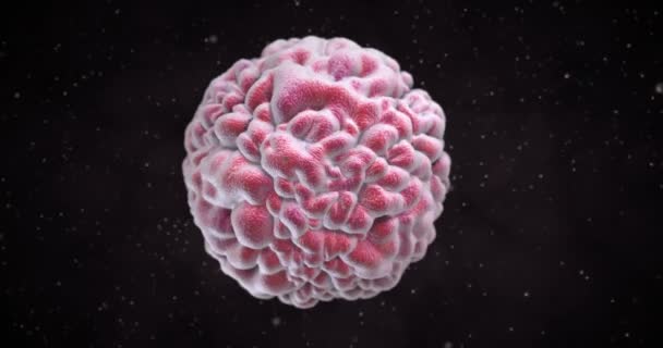 Animatie Van Een Norovirus Virus — Stockvideo