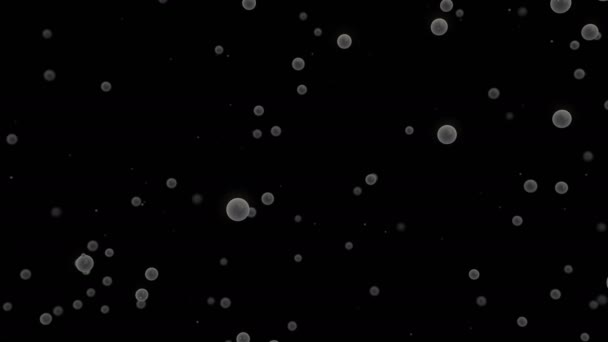 Animation Particles Floating Alpha — Stock Video
