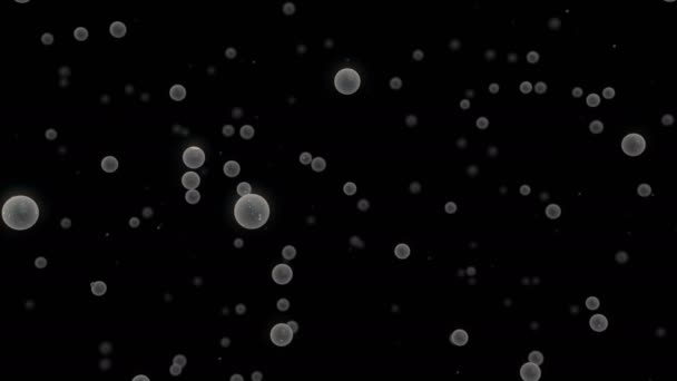 Animation Particles Floating Alpha — Stock Video