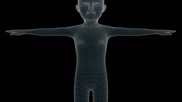 Animation Children Xray Hologram — Stock Video