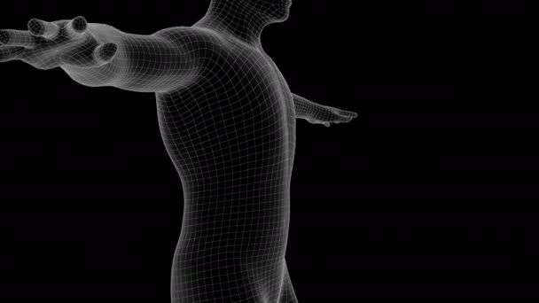 Animation Man Xray Hologram — Stock Video